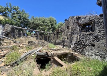20250603_133239.jpg - Terreno agricolo Vico Agatino De Marco, Gravina di Catania - foto 10