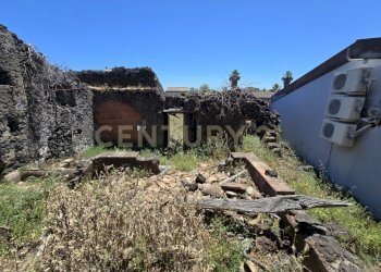 20250603_133440.jpg - Terreno agricolo Vico Agatino De Marco, Gravina di Catania - foto 13