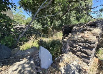 20250603_133448.jpg - Terreno agricolo Vico Agatino De Marco, Gravina di Catania - foto 14