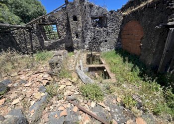 20250603_133521.jpg - Terreno agricolo Vico Agatino De Marco, Gravina di Catania - foto 15