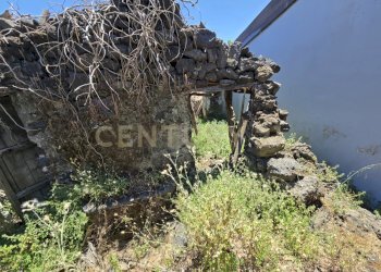 20250603_133524.jpg - Terreno agricolo Vico Agatino De Marco, Gravina di Catania - foto 16