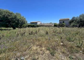 20250603_133558.jpg - Terreno agricolo Vico Agatino De Marco, Gravina di Catania - foto 17