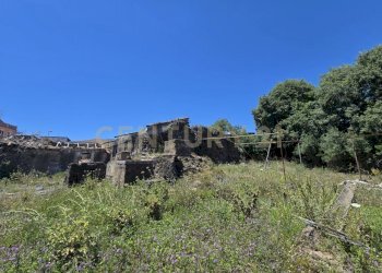 20250603_133628.jpg - Terreno agricolo Vico Agatino De Marco, Gravina di Catania - foto 19