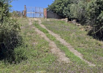 20250603_133846.jpg - Terreno agricolo Vico Agatino De Marco, Gravina di Catania - foto 24