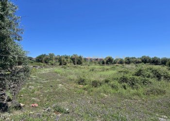 20250603_133919.jpg - Terreno agricolo Vico Agatino De Marco, Gravina di Catania - foto 25