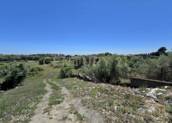 20250603_134010.jpg - Terreno agricolo Vico Agatino De Marco, Gravina di Catania - foto 27