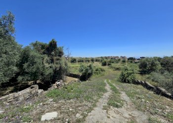20250603_134012.jpg - Terreno agricolo Vico Agatino De Marco, Gravina di Catania - foto 28