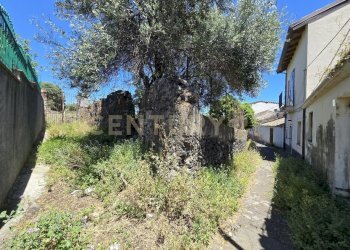 20250603_134735.jpg - Terreno agricolo Vico Agatino De Marco, Gravina di Catania - foto 29