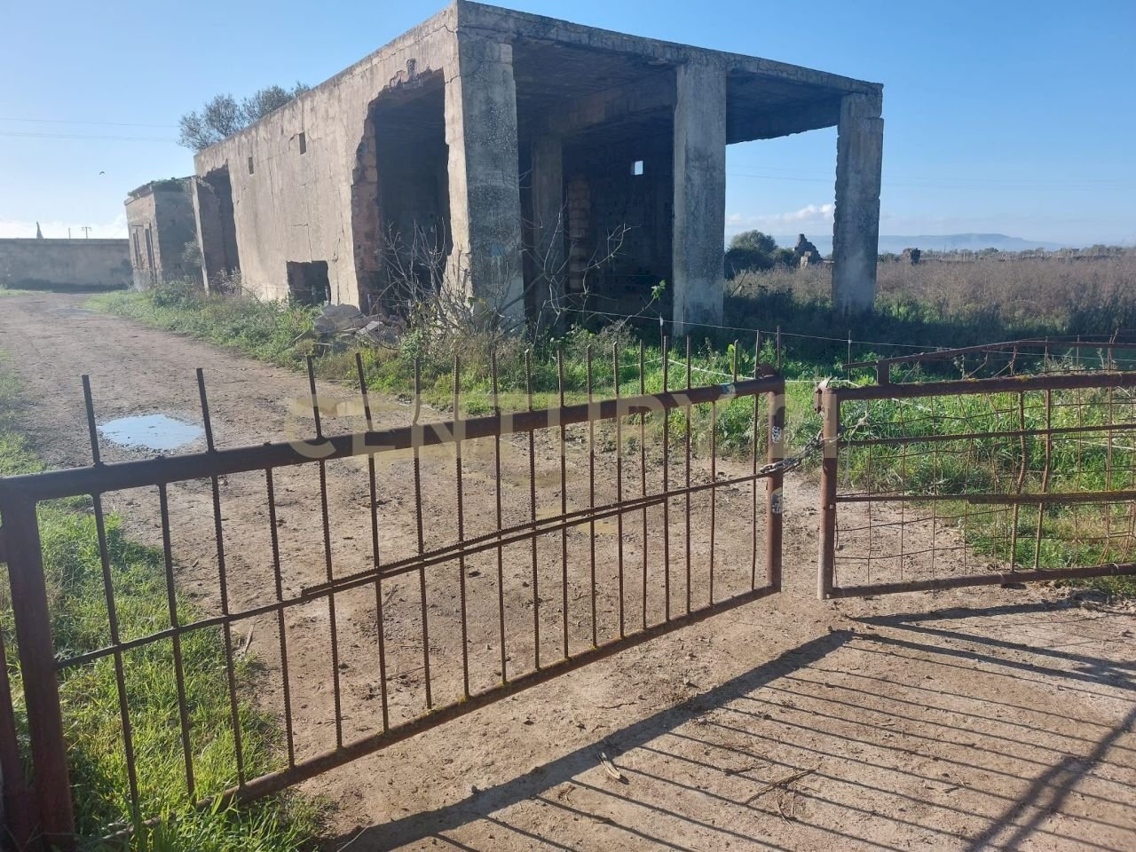 IMG-20250613-WA0007.jpg - Agricultural land Strada Provinciale 104 snc, Lentini - photo 3