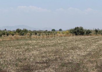 IMG-20250613-WA0014.jpg - Agricultural land Strada Provinciale 104 snc, Lentini - photo 2