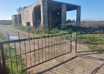 IMG-20250613-WA0007.jpg - Agricultural land Strada Provinciale 104 snc, Lentini - photo 3