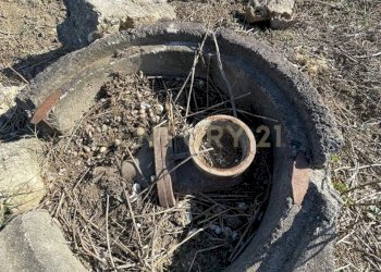 IMG-20250613-WA0008.jpg - Agricultural land Strada Provinciale 104 snc, Lentini - photo 4