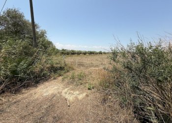 IMG-20250613-WA0015.jpg - Agricultural land Strada Provinciale 104 snc, Lentini - photo 9