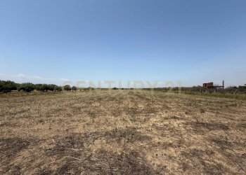 IMG-20250613-WA0018.jpg - Agricultural land Strada Provinciale 104 snc, Lentini - photo 13