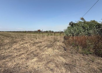 IMG-20250613-WA0019.jpg - Agricultural land Strada Provinciale 104 snc, Lentini - photo 14