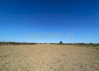 IMG-20250613-WA0022.jpg - Agricultural land Strada Provinciale 104 snc, Lentini - photo 15