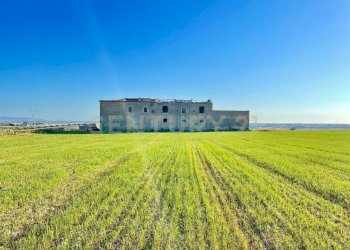 WhatsApp Image 2024-09-25 at 22.28.44 (1).jpeg - Rustico Contrada Alia, Licodia Eubea - foto 2