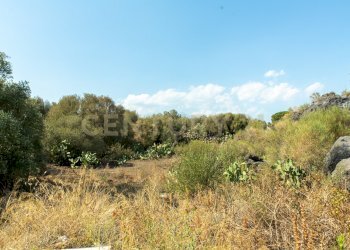 2024_07_20240718233141-875825-2.jpg - Terreno edificabile CONTRA FURERIA snc, Belpasso - foto 2