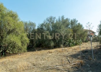 2024_07_20240718233200-875825-11.jpg - Terreno edificabile CONTRA FURERIA snc, Belpasso - foto 11