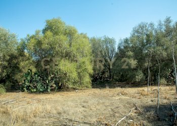 2024_07_20240718233202-875825-12.jpg - Terreno edificabile CONTRA FURERIA snc, Belpasso - foto 12