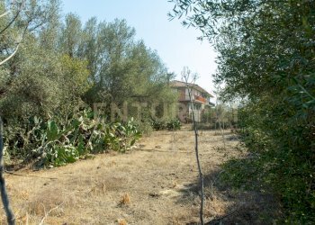 2024_07_20240718233205-875825-13.jpg - Terreno edificabile CONTRA FURERIA snc, Belpasso - foto 13