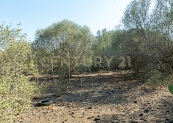 2024_07_20240718233213-875825-16.jpg - Terreno edificabile CONTRA FURERIA snc, Belpasso - foto 16