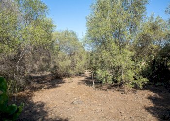 2024_07_20240718233219-875825-18.jpg - Terreno edificabile CONTRA FURERIA snc, Belpasso - foto 18