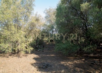 2024_07_20240718233222-875825-19.jpg - Terreno edificabile CONTRA FURERIA snc, Belpasso - foto 19