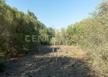 2024_07_20240718233231-875825-22.jpg - Terreno edificabile CONTRA FURERIA snc, Belpasso - foto 22