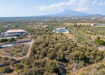 2024_07_20240723191218-875825-30.jpg - Terreno edificabile CONTRA FURERIA snc, Belpasso - foto 29