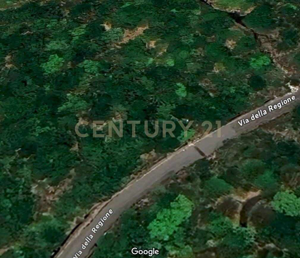 Immagine 2025-05-16 105838.jpg - Terreno agricolo Via Monte Difeso, Nicolosi - foto 1