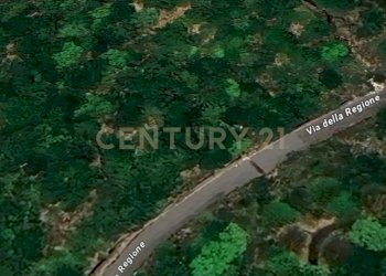 Immagine 2025-05-16 105838.jpg - Terreno agricolo Via Monte Difeso, Nicolosi - foto 1