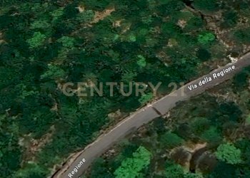 Immagine 2025-05-16 105859.jpg - Terreno agricolo Via Monte Difeso, Nicolosi - foto 2