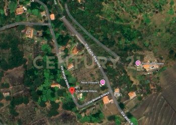 Terreno Via Monte difeso Nicolosi-Pedara.jpg - Terreno agricolo Via Monte Difeso, Nicolosi - foto 3