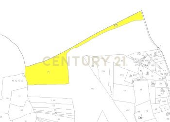 25 e 26.jpg - Terreno agricolo Via Monte Difeso, Nicolosi - foto 5