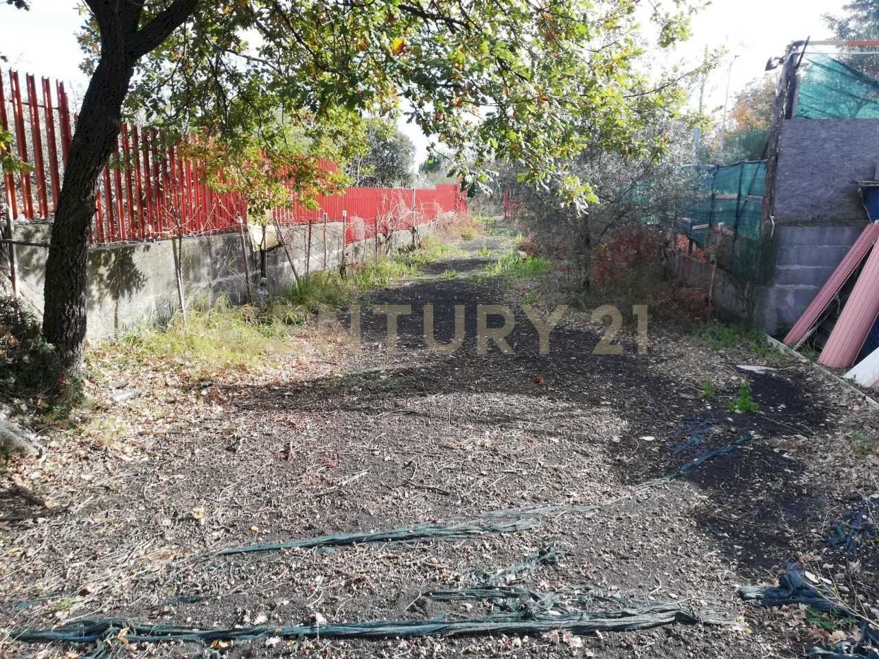 2.jpg - Terreno edificabile Contrada Regala Regaridda, Nicolosi - foto 2