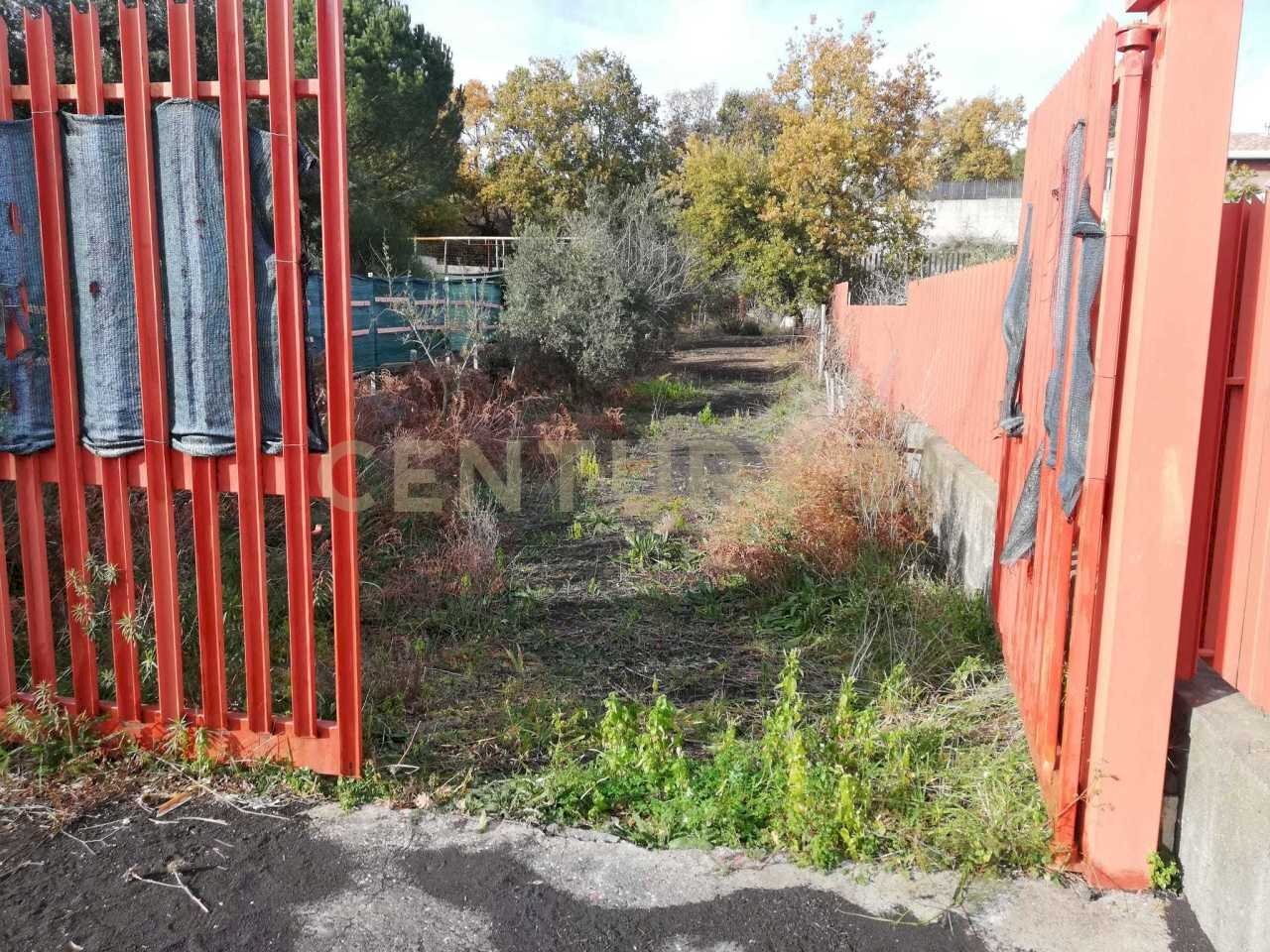 3.jpg - Terreno edificabile Contrada Regala Regaridda, Nicolosi - foto 3