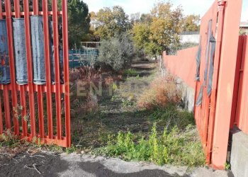 3.jpg - Terreno edificabile Contrada Regala Regaridda, Nicolosi - foto 4