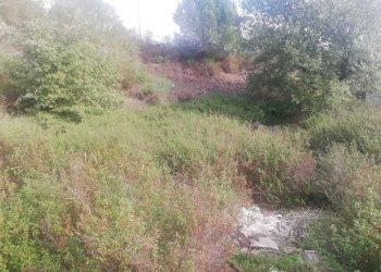 21.jpg - Terreno edificabile Contrada Regala Regaridda, Nicolosi - foto 23