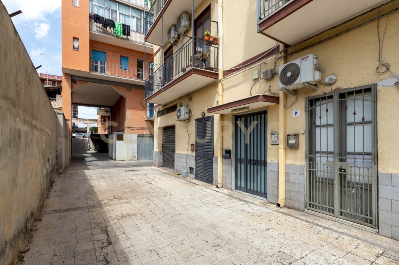 Immagine WhatsApp 2025-05-22 ore 10.56.24_67ebedd2 - Trilocale Via del Bosco 306, Catania - foto 2