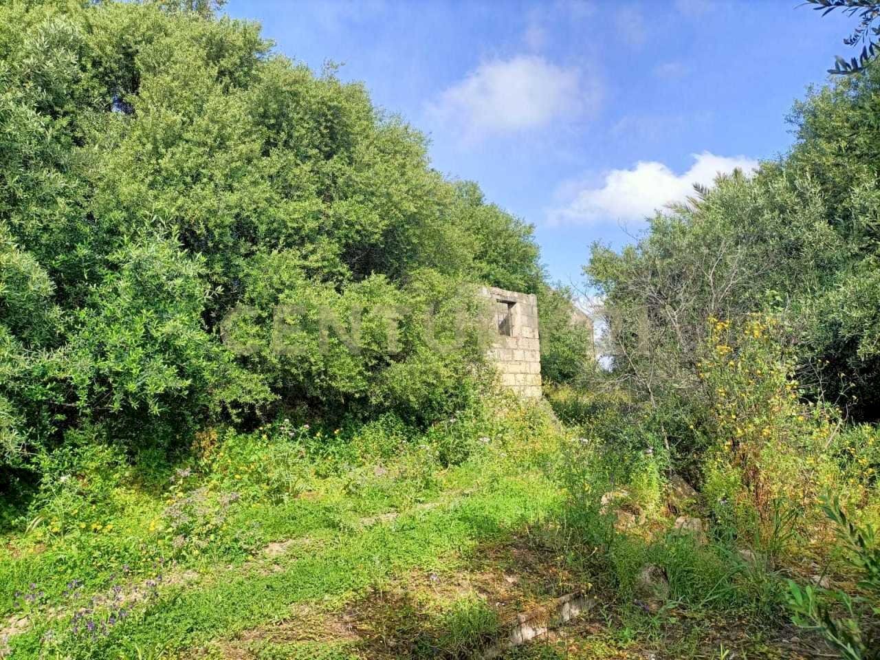 WhatsApp Image 2025-04-21 at 09.54.25 (2).jpeg - Terreno edificabile Via Palermo, Catania - foto 2