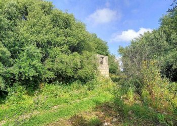 WhatsApp Image 2025-04-21 at 09.54.25 (2).jpeg - Terreno edificabile Via Palermo, Catania - foto 2