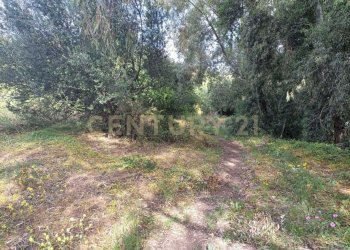 WhatsApp Image 2025-04-21 at 09.54.27.jpeg - Terreno edificabile Via Palermo, Catania - foto 11