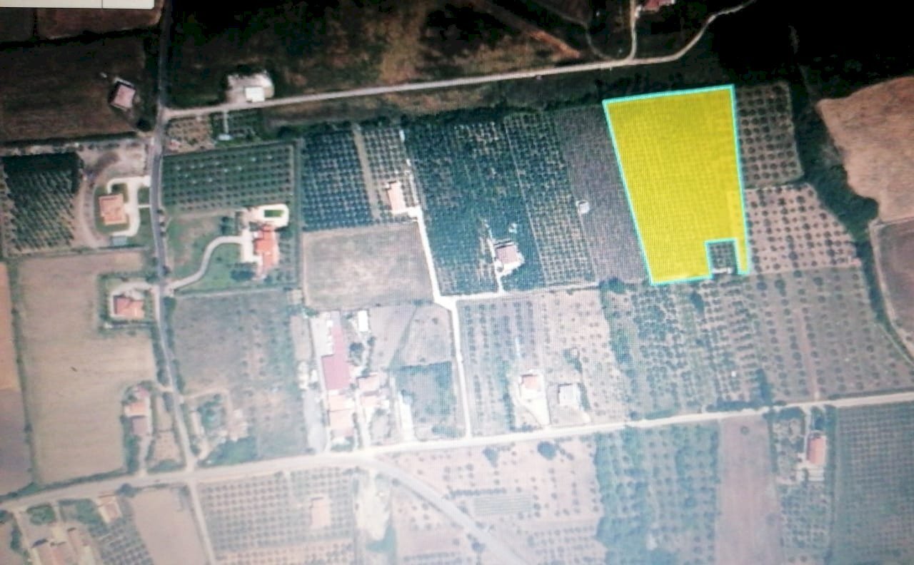 IMG-20250103-WA0002.jpg - Terreno agricolo Via Padre Marmoreo, Capaccio Paestum - foto 2