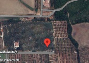 Screenshot_20250419_165126_Maps.jpg - Terreno agricolo Via Padre Marmoreo, Capaccio Paestum - foto 1