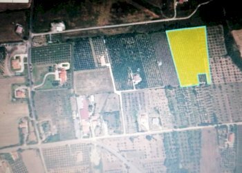 IMG-20250103-WA0002.jpg - Terreno agricolo Via Padre Marmoreo, Capaccio Paestum - foto 2