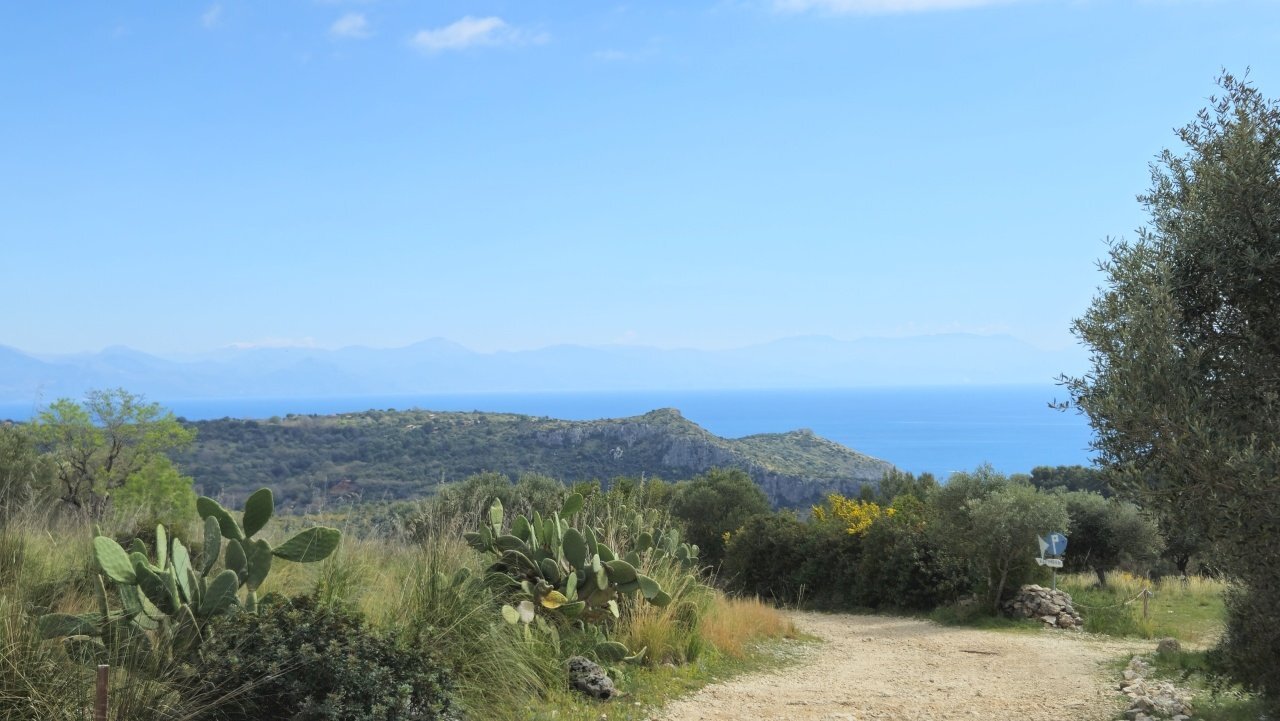 20250320_120608.jpg - Casale sentiero Degli Infreschi, Camerota - foto 3