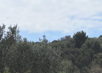 20250320_120658.jpg - Casale sentiero Degli Infreschi, Camerota - foto 1