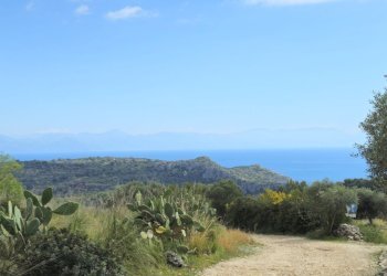 20250320_120608.jpg - Casale sentiero Degli Infreschi, Camerota - foto 3