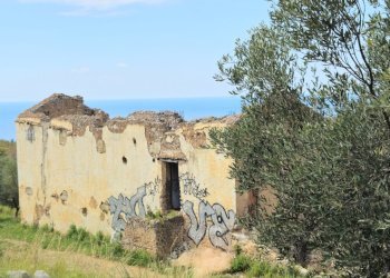 20250320_120925.jpg - Casale sentiero Degli Infreschi, Camerota - foto 4